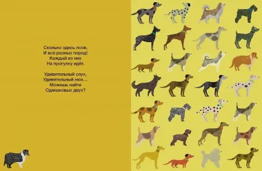 Где здесь пара?