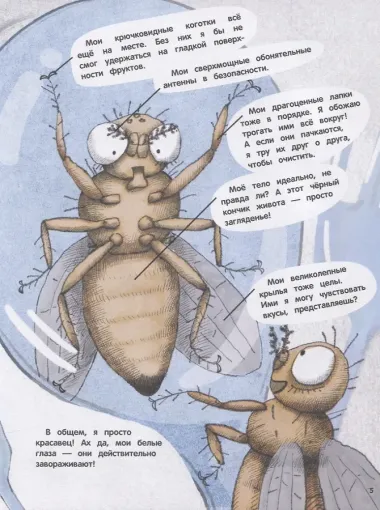 Секрет плодовых мушек