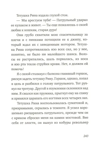 Последний черный кот