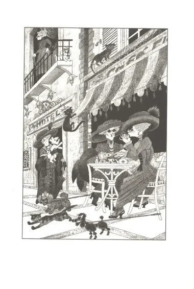 Последний черный кот