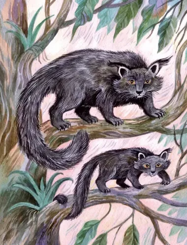 Удивительные звери