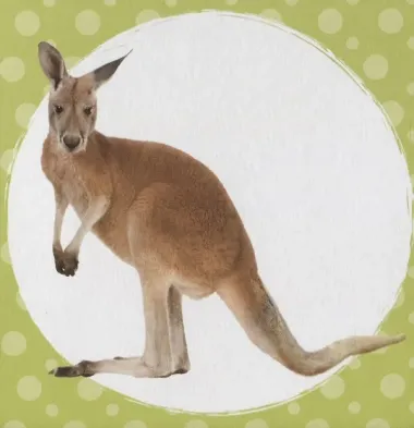 А моя мама…