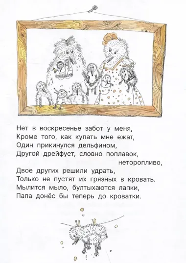 Ежиные истории