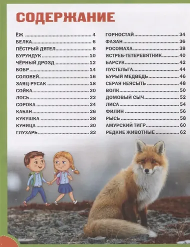 Животные лесов России. Детская энциклопедия