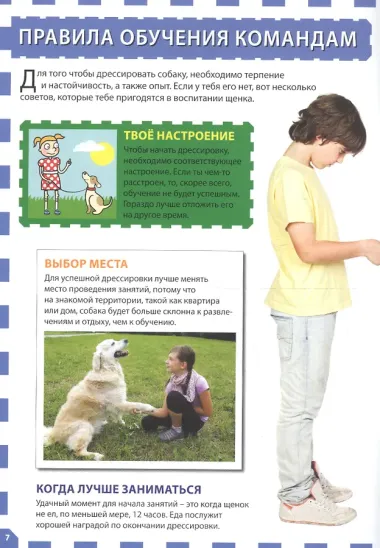 Собаки и щенки