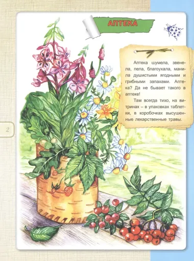 Зеленая аптека