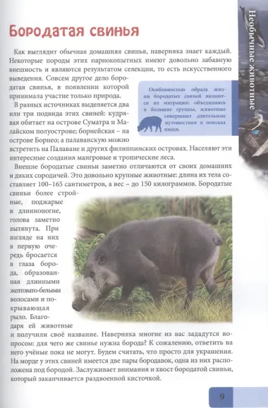 Необычные животные. Энциклопедия