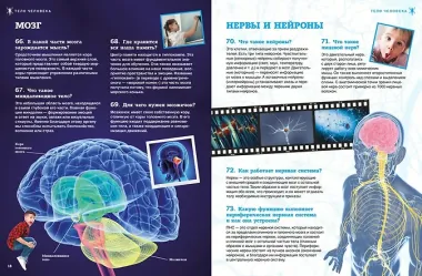 Тело человека