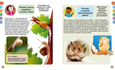 Почему? Вопросы и ответы обо всём на свете