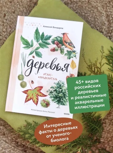 Деревья. Атлас-определитель