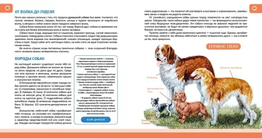 Животные. Полная энциклопедия