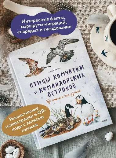 Птицы Камчатки и Командорских островов. Где найти и как узнать