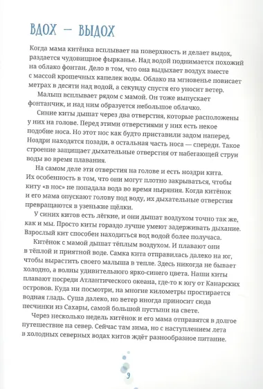 Синий кит: невероятная история самого крупного животного всех времён. Издание 2-е, исправленное