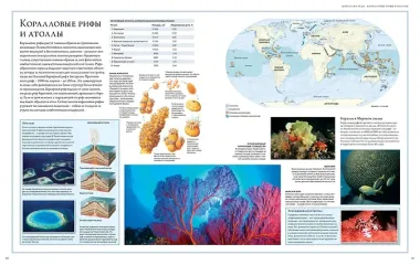 Океаны. Иллюстрированный атлас