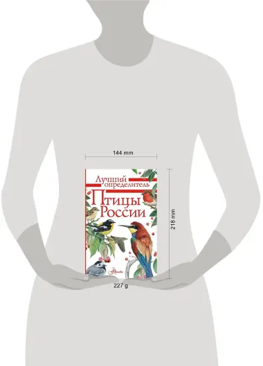 Птицы России