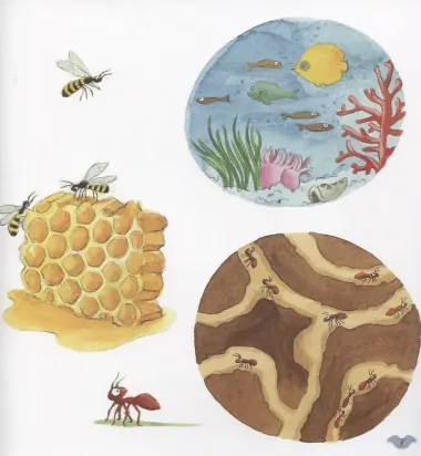 Где живут животные