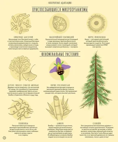 Чудеса эволюции. Путешествие во времени