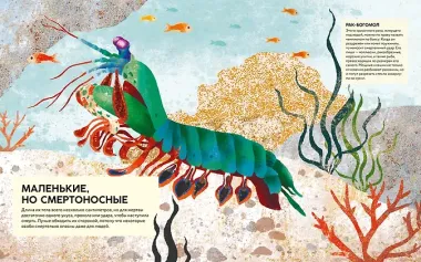 Удивительные животные. Самые-самые