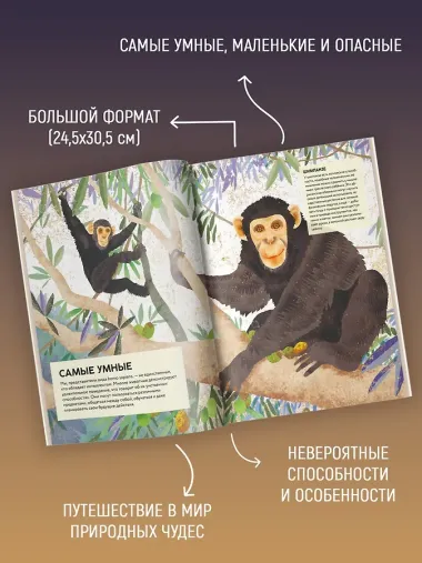 Удивительные животные. Самые-самые