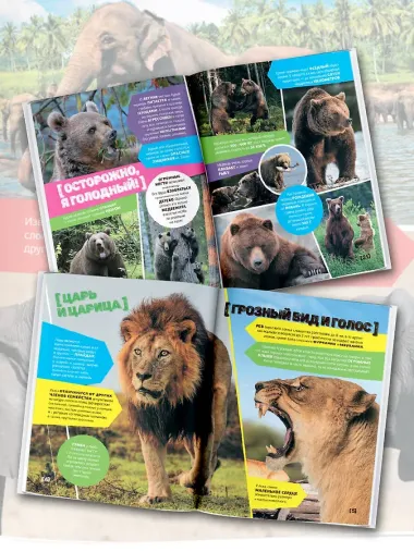 Большая энциклопедия о животных. 500 фотографий и фактов