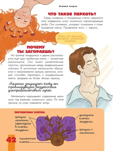 Тело человека