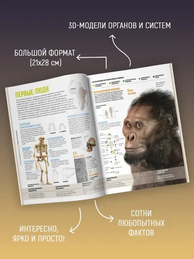 Тайны тела человека. Большая иллюстрированная энциклопедия