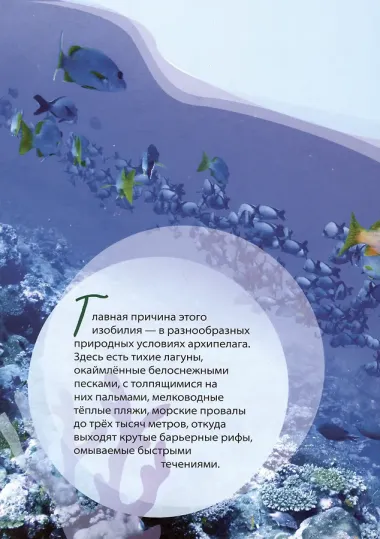 Очарованные Мальдивы. Приключения рака-отшельника на коралловых рифах