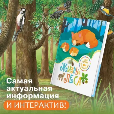 Жизнь леса