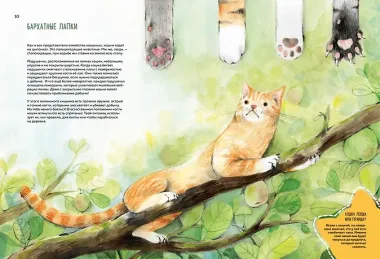 Невероятные коты. Всё, что нужно знать о любимых питомцах