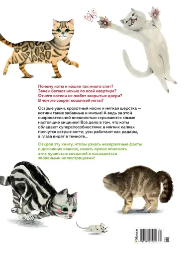 Невероятные коты. Всё, что нужно знать о любимых питомцах