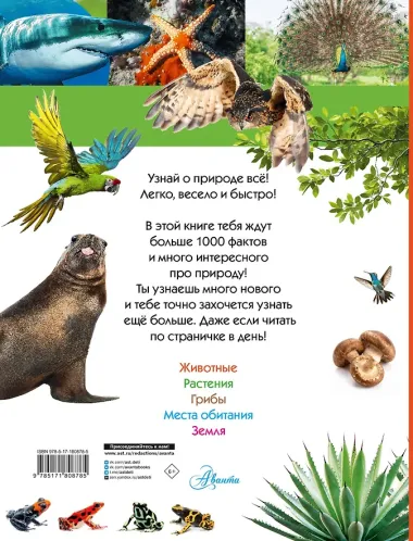 100 тысяч почему на каждый день. Природа