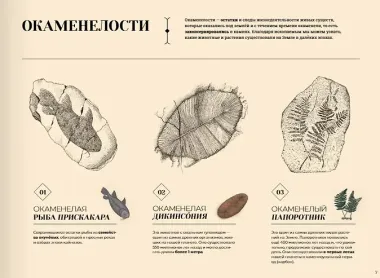 Утраченные пейзажи Земли