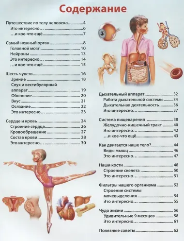 О теле человека для мальчиков и девочек. Детская энциклопедия