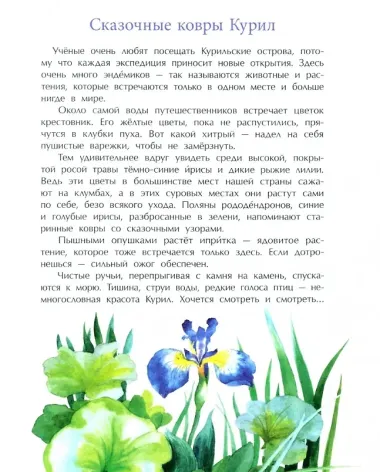 Курилы. Самый край Российской земли