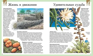 Детская энциклопедия. 250 чудес света