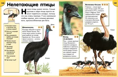 Обо всём на свете в вопросах и ответах. Энциклопедия