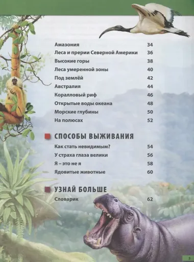 Первая энциклопедия для маленьких всезнаек