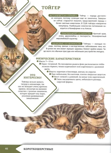 Большая энциклопедия о кошках и собаках