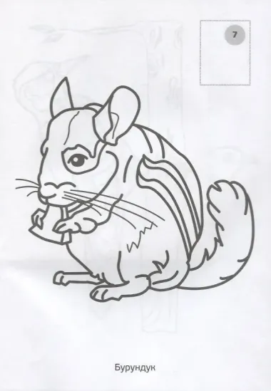 Лесные животные. (наклей и раскрась малый формат).