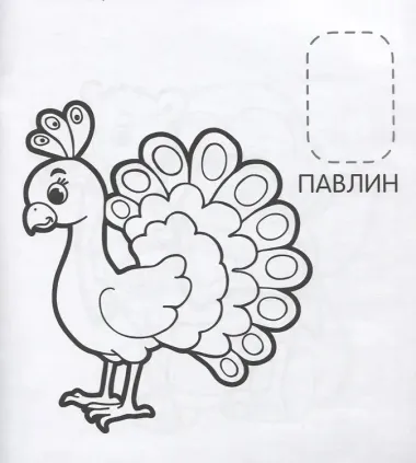 Удивительные животные