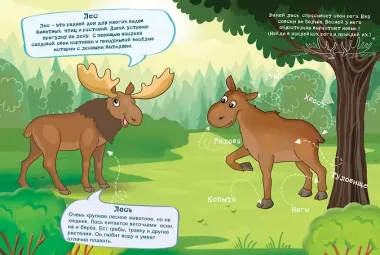 В лесу. Книжка с моногоразовыми наклейками. Конструктор
