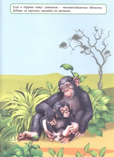 Мы идём в поход. Книжка с многоразовыми наклейками