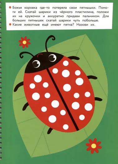 Пластилиновые картинки. Многоразовая рабочая тетрадь