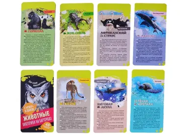 Животные. Викторина на карточках