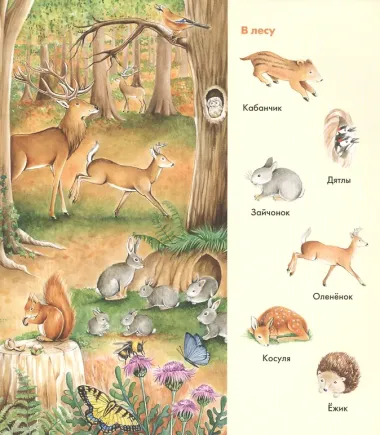 Виммельбух. Веселые пряталки. Транспорт. Веселые пряталки. Зверята