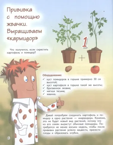 Весёлые научные опыты. Увлекательные эксперименты с растениями и солнечным светом