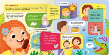 Книжка с окошками. Тело человека