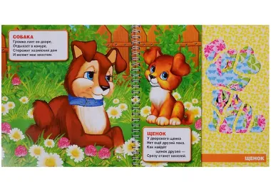 Домашние животные (книжка с трафаретами на пружине).