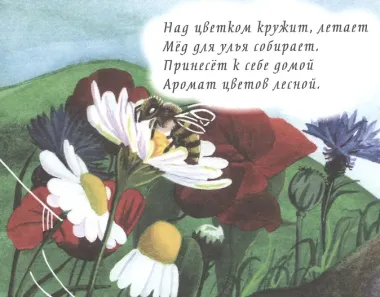 Загадки в картинках