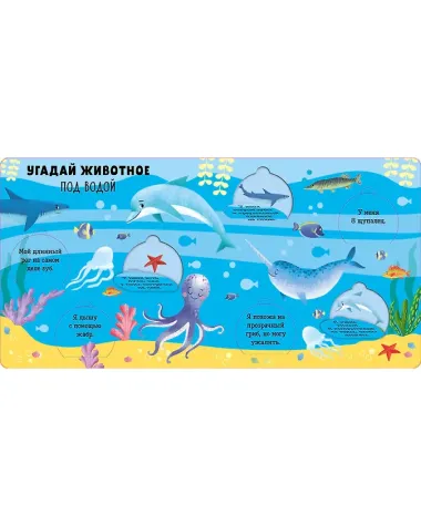 Книжка с окошками. Угадай животное